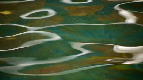Refllections on a fish pond 库存影片 923984