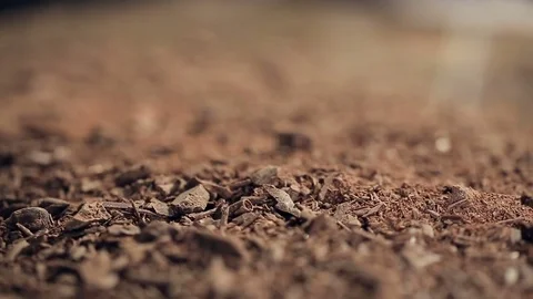 Refocusing macro shot on Chocolate chips Видео 74551778