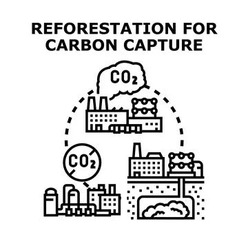 Reforestation for carbon capture and climate friendly environment Stock Illustration