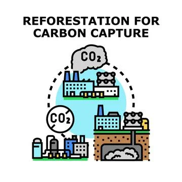 Reforestation for carbon capture and climate friendly environment Stock Illustration
