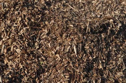 Reforestation for CO2 reduction Stock Photos