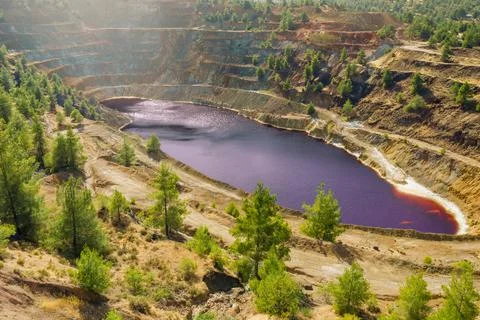 Reforestation of surface mining area. Pine trees growing on terraces of old c Stock Photos