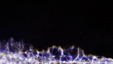 Refracted White Rainbow Swirls Stock Footage 76328277