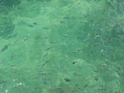 Refraction of light Stock Photos