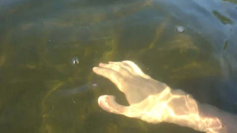 Refraction of Light in Water.  Stock Footage 126619158