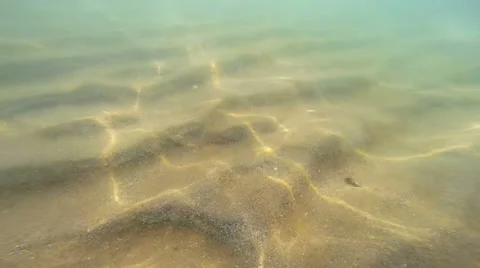 Refraction of Sunlight on Seabed Vídeos de archivo 40670839