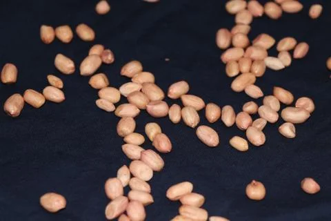 Refresh dried peanut with blue background Stock Photos