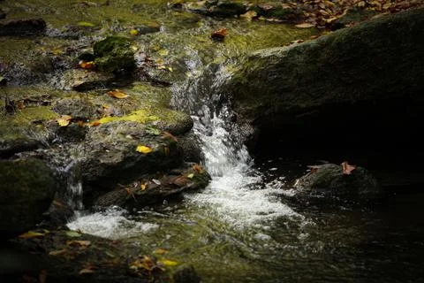 Refreshed small brook river stream flowing over gravel bed with stunning Stock Photos