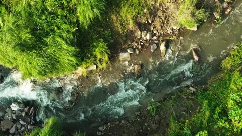Refreshing 4K Aerial View of Summer Creek with Clear Flowing Water in Natural Stock Footage 319831968