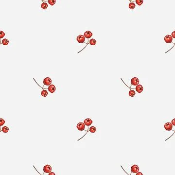 Refreshing autumn watercolor pattern featuring bright red berries on a clea.. Stock Illustration