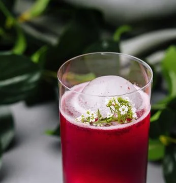 Refreshing beetroot smoothie with herbal garnish Foto stock