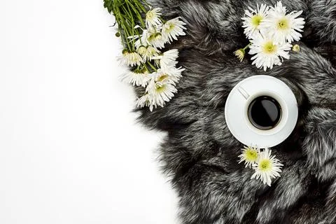 Refreshing black coffee Stock Photos