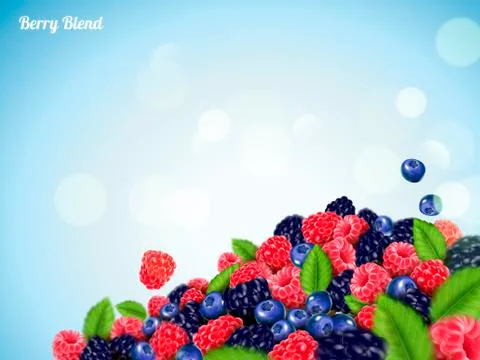 Refreshing blend berries Stock Illustration