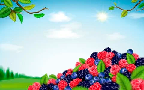 Refreshing blend berries Stock-Illustration