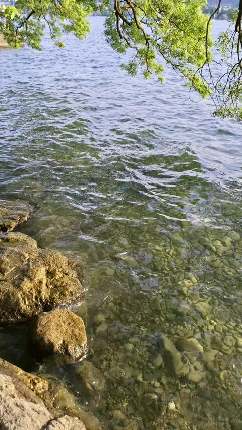 A refreshing break at Lake Zurich during sunset. Video stock 337231703