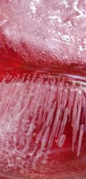 Refreshing Cherry Syrup on a Summer Day Fotos de archivo