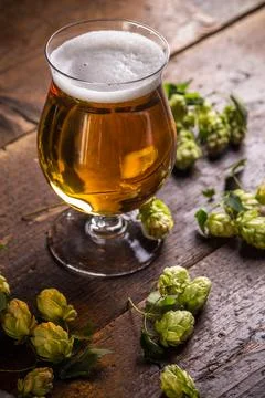 Refreshing cold beer on wooden background Stock Photos