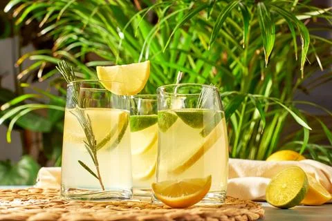 Refreshing cool drinks with citrus lime and lemon. Summer alcoholic cocktails in Stock Photos