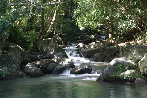 Refreshing flowing river in the forest Foto stock