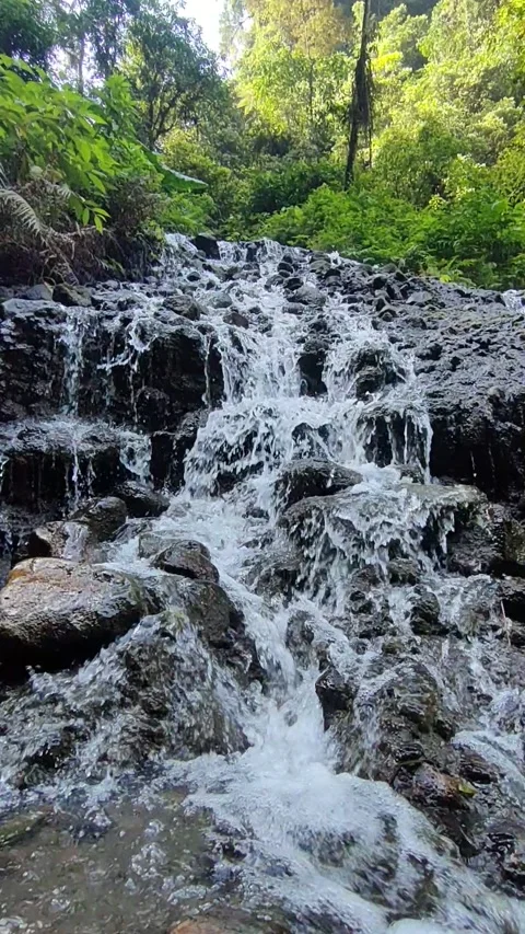 Refreshing Forest Stream Cascading Down Rocks Stock Footage 311448020