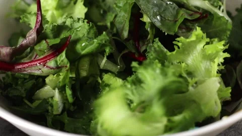 A Refreshing Fresh Mixed Green Salad Featuring a Colorful Array of Vibrant Stock Footage 301633941