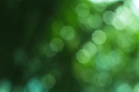 A Refreshing Gradient of Green Hues with a Soft Bokeh Effect Stock Photos