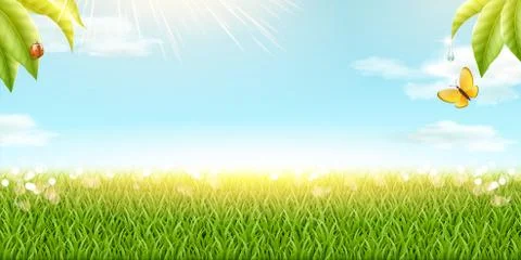 Refreshing green grass Stock-Illustration