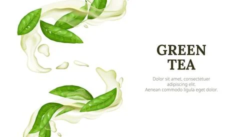Refreshing green tea with green leaf. Vector banner of flowing liquid, tran.. Stock Illustration