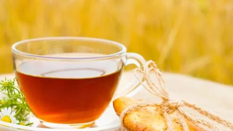 Refreshing herbal tea and bread outdoors Stock Photos