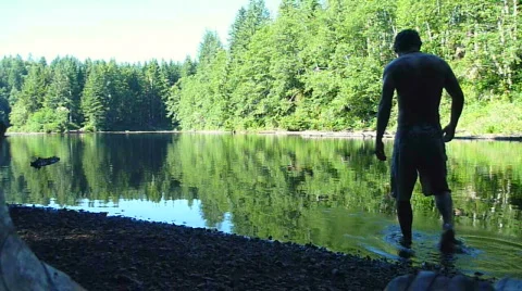 Refreshing Lake Swim Stock Footage 805354