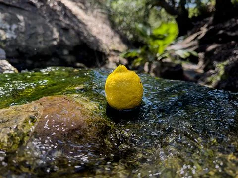 Refreshing Lemon	 Stock Photos