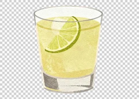 Refreshing lime and tequila shot with ice and citrus garnish 库存插图