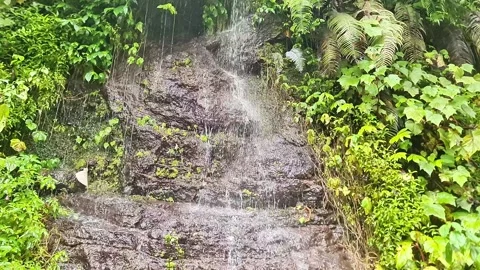 Refreshing Mini Waterfall Cascading Down Mossy Rock Cliff in Tropical Rainforest Video stock 333984269