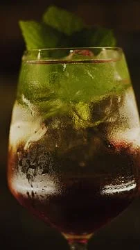 Refreshing mint cocktail on the bar Stock Photos