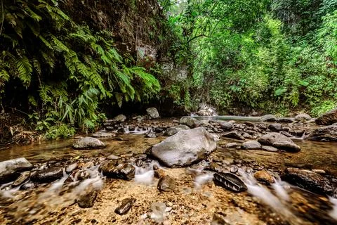Refreshing Mountain Source. Pure Water Flow in Serene Surroundings. Foto stock