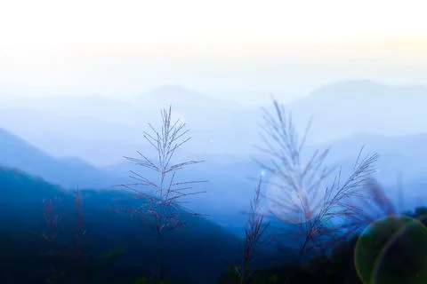 Refreshing mountain view at sunrise. Stock Photos