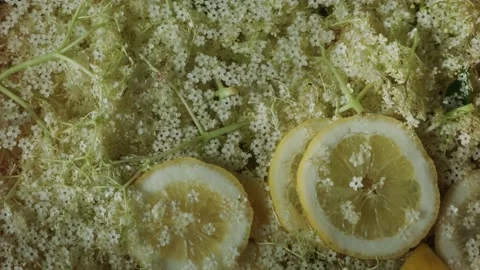 Refreshing natural drink Stock Footage 130456001