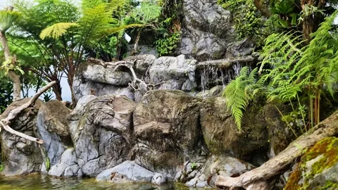 Refreshing Natural Rock Pool with Cascading Waterfall in Lush Green Forest Video stock 334100673