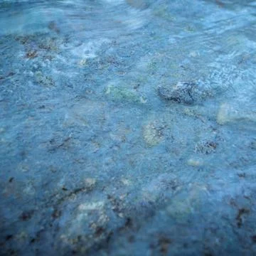 Refreshing Nature Background of Crystal Clear Moving Water Stock Photos