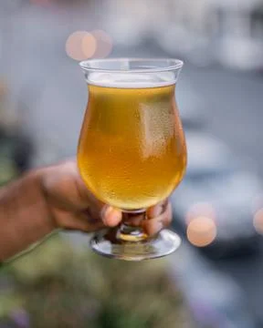 Refreshing pilsner beer with foam. Stock Photos