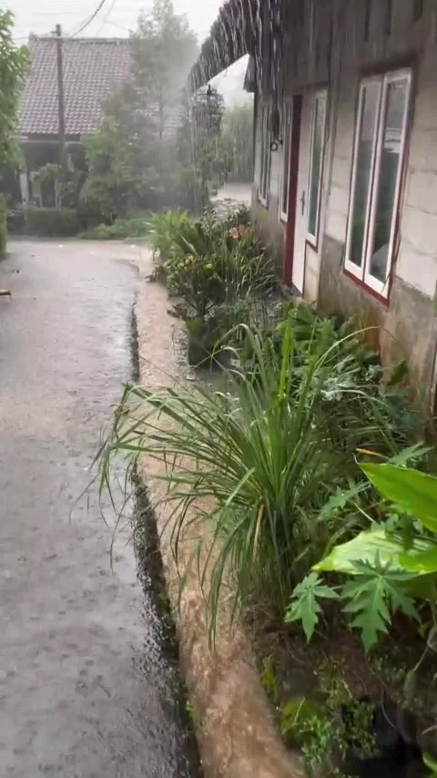 Refreshing rainy atmosphere Stock Footage 307452584