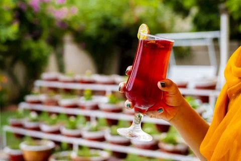 Refreshing Red Drink: A Summer Beverage in a Garden Setting Foto stock