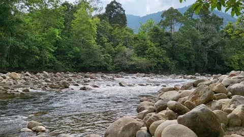 Refreshing river stream in Sungai Kenerong. Stock Footage 171123618