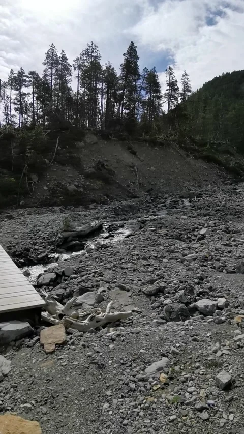 Refreshing river stream in Swiss National Park. Stock Footage 197552922