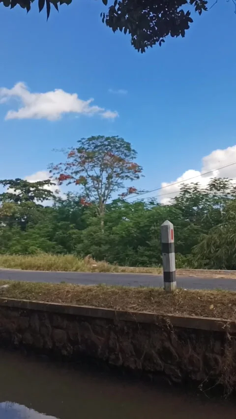 A refreshing rural view with red flowering trees on the side of the road 库存影片 289355649