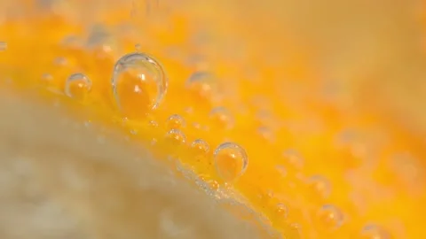 Refreshing soft drink Lemon and orange sparkling water Stock Footage 151749471