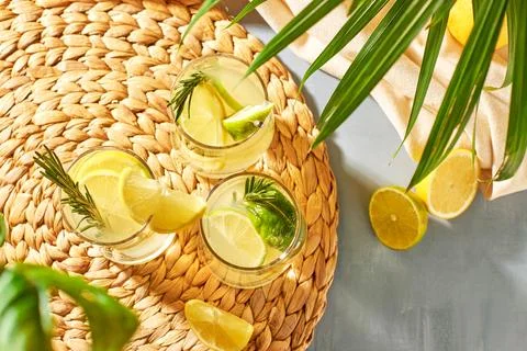 Refreshing soft drinks with fresh lemon and lime slices, garnished with a sprig Stock Photos