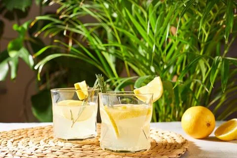 Refreshing soft drinks with fresh lemon and lime slices, garnished with a sprig Stock Photos