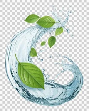 Refreshing splash of pure flowing water with floating leaves Stock Illustration