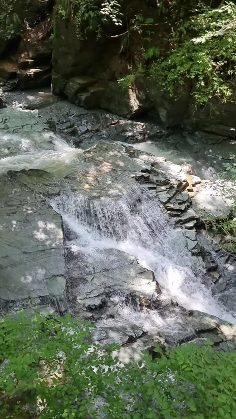 Refreshing Stream Flowing Through a Forest Stock Footage 328296606